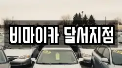비마이카 달서지점