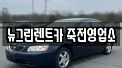 뉴그린렌트카 죽전영업소