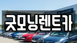 대구광역시 달서구 호산동 렌트카,단기렌트카,장기렌트카,중고차,중고차매매,중고차매입
