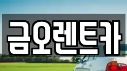 금오렌트카