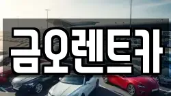 금오렌트카