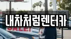 내차처럼렌터카