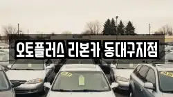 오토플러스 리본카 동대구지점
