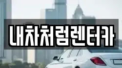 대구광역시 동구 검사동 렌트카,단기렌트카,장기렌트카,중고차,중고차매매,중고차매입