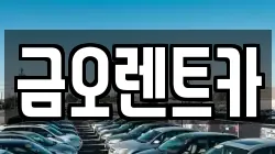 금오렌트카