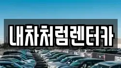 내차처럼렌터카