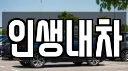 인생내차