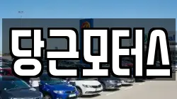 당근모터스
