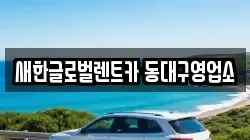새한글로벌렌트카 동대구영업소