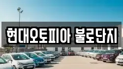 현대오토피아 불로단지