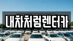대구광역시 동구 사복동 렌트카,단기렌트카,장기렌트카,중고차,중고차매매,중고차매입