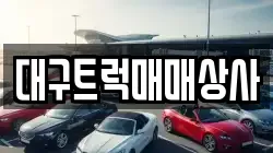 대구트럭매매상사