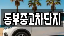 동부중고차단지