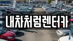 대구광역시 동구 신무동 렌트카,단기렌트카,장기렌트카,중고차,중고차매매,중고차매입