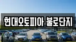 현대오토피아 불로단지
