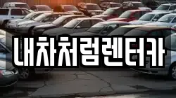 대구광역시 동구 용수동 렌트카,단기렌트카,장기렌트카,중고차,중고차매매,중고차매입