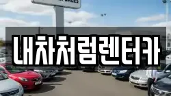 내차처럼렌터카