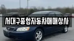 서대구종합자동차매매상사