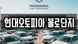 현대오토피아 불로단지