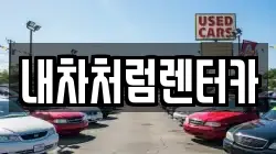 대구광역시 북구 사수동 렌트카,단기렌트카,장기렌트카,중고차,중고차매매,중고차매입