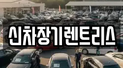 신차장기렌트리스