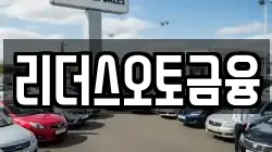 리더스오토금융