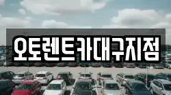 오토렌트카대구지점