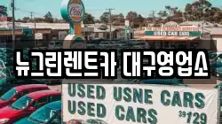 뉴그린렌트카 대구영업소