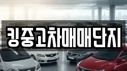 킹중고차매매단지
