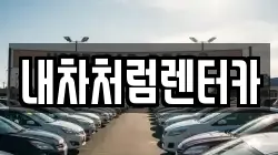 내차처럼렌터카