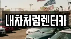 내차처럼렌터카