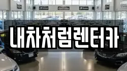 대구광역시 수성구 이천동 렌트카,단기렌트카,장기렌트카,중고차,중고차매매,중고차매입