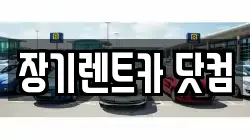 장기렌트카 닷컴