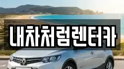 대구광역시 수성구 중동 렌트카,단기렌트카,장기렌트카,중고차,중고차매매,중고차매입