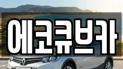에코큐브카