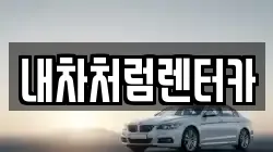 대구광역시 수성구 파동 렌트카,단기렌트카,장기렌트카,중고차,중고차매매,중고차매입
