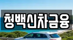 청백신차금융