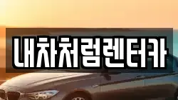 내차처럼렌터카