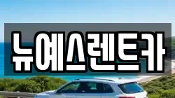 대구광역시 수성구 황금동 렌트카,단기렌트카,장기렌트카,중고차,중고차매매,중고차매입