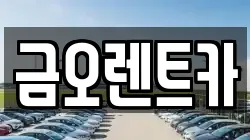 금오렌트카