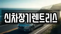 신차장기렌트리스