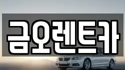 금오렌트카