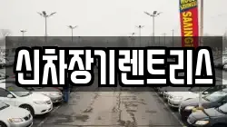 신차장기렌트리스