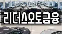 리더스오토금융