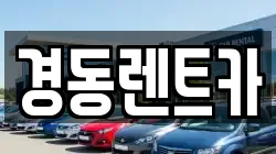 대구광역시 중구 대봉동 렌트카,단기렌트카,장기렌트카,중고차,중고차매매,중고차매입
