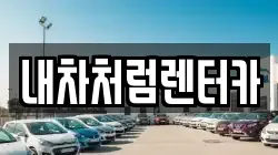 내차처럼렌터카