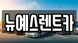 대구광역시 중구 대안동 렌트카,단기렌트카,장기렌트카,중고차,중고차매매,중고차매입