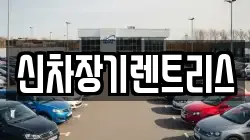 신차장기렌트리스