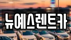 대구광역시 중구 동문동 렌트카,단기렌트카,장기렌트카,중고차,중고차매매,중고차매입