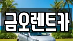 금오렌트카